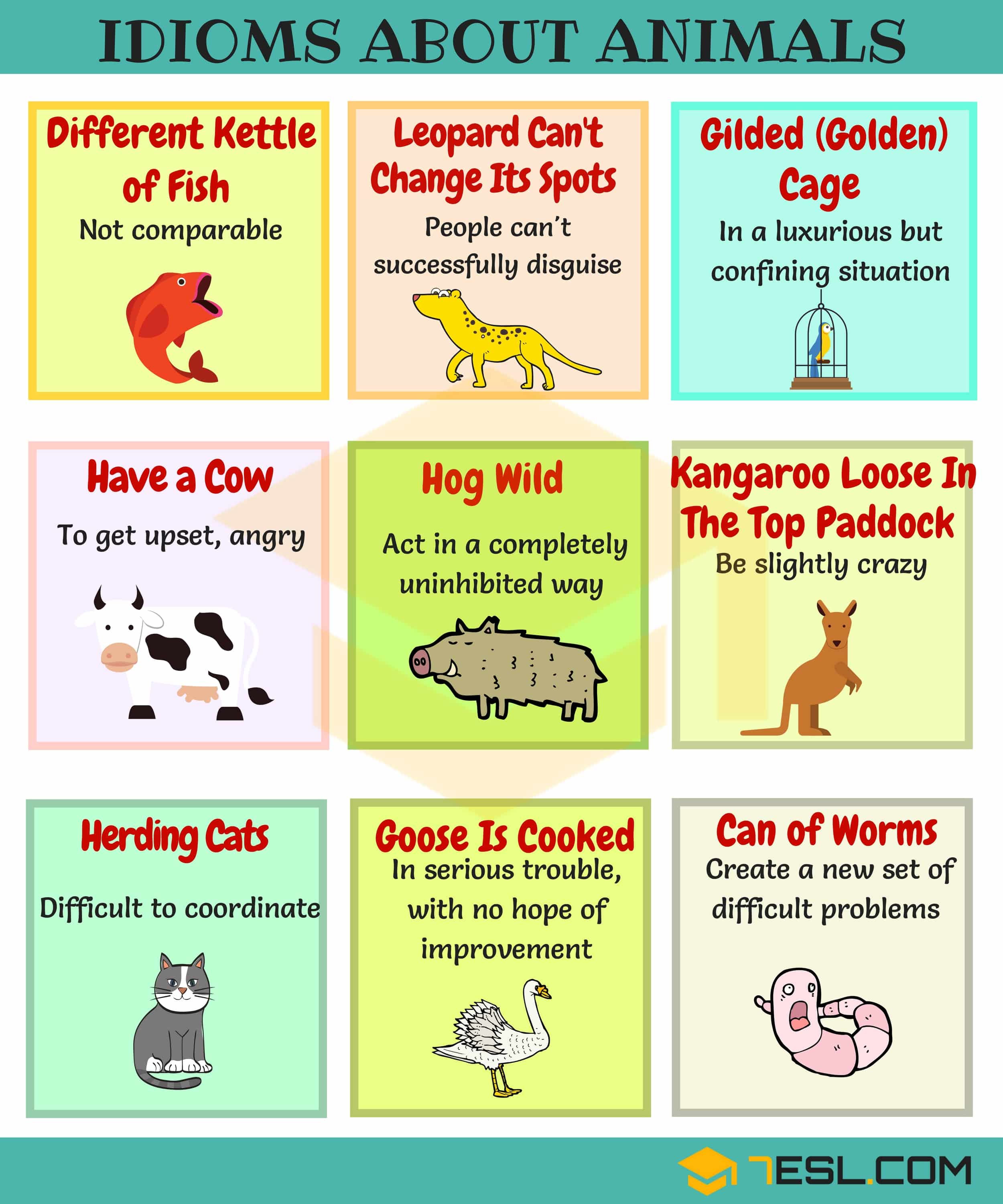 List of Animal Idioms