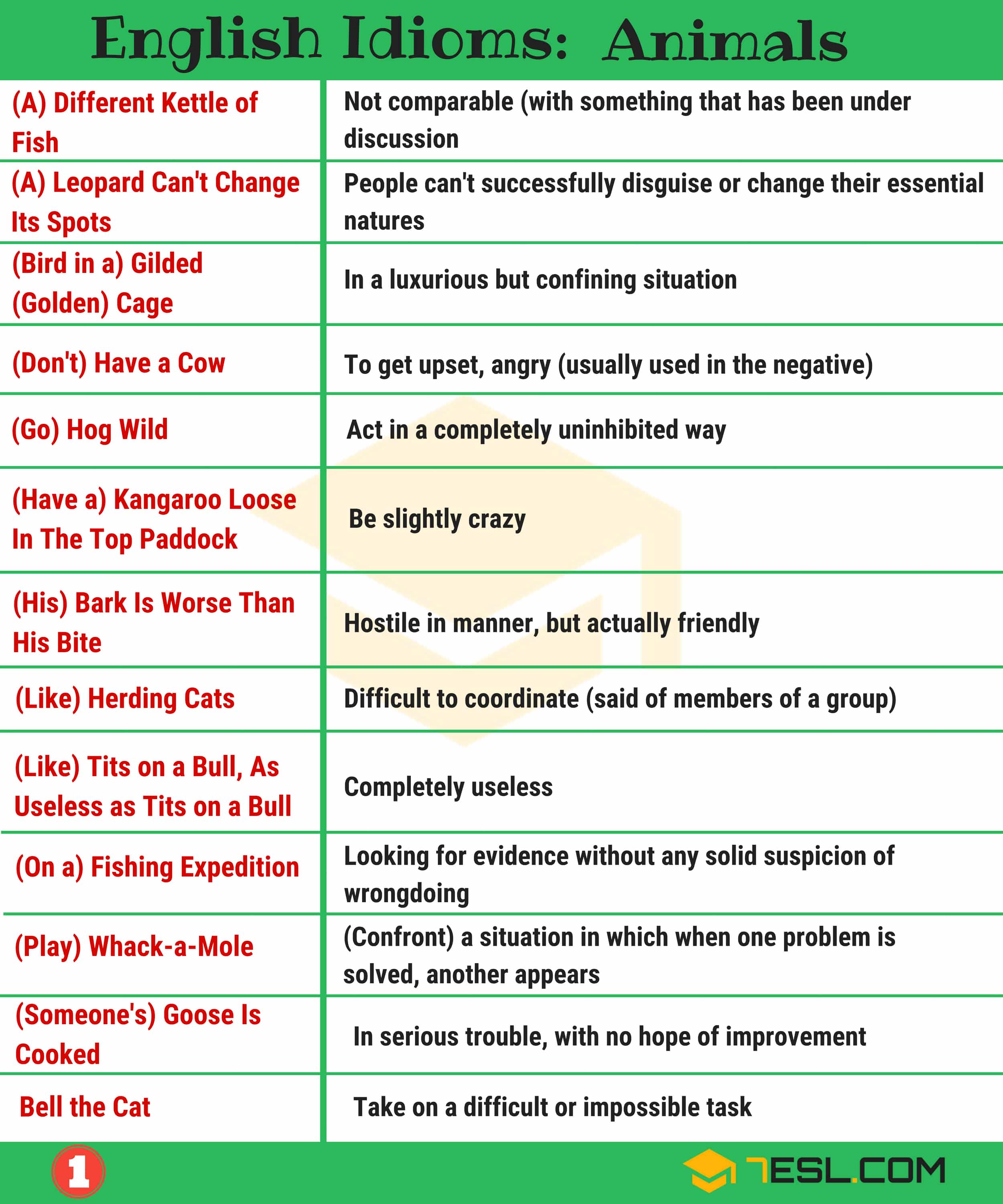Idioms about Animals with Meanings