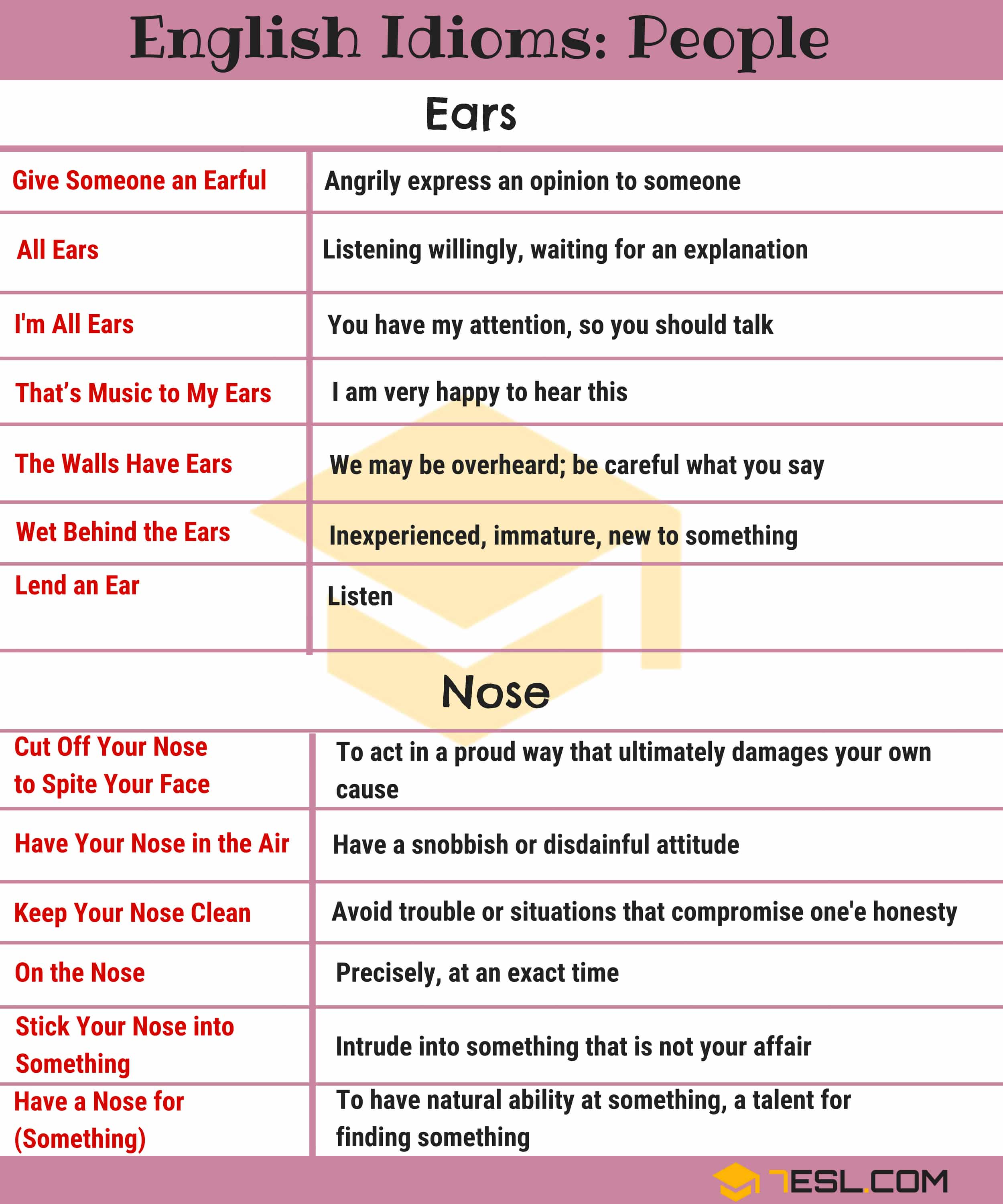 Body Parts Idioms