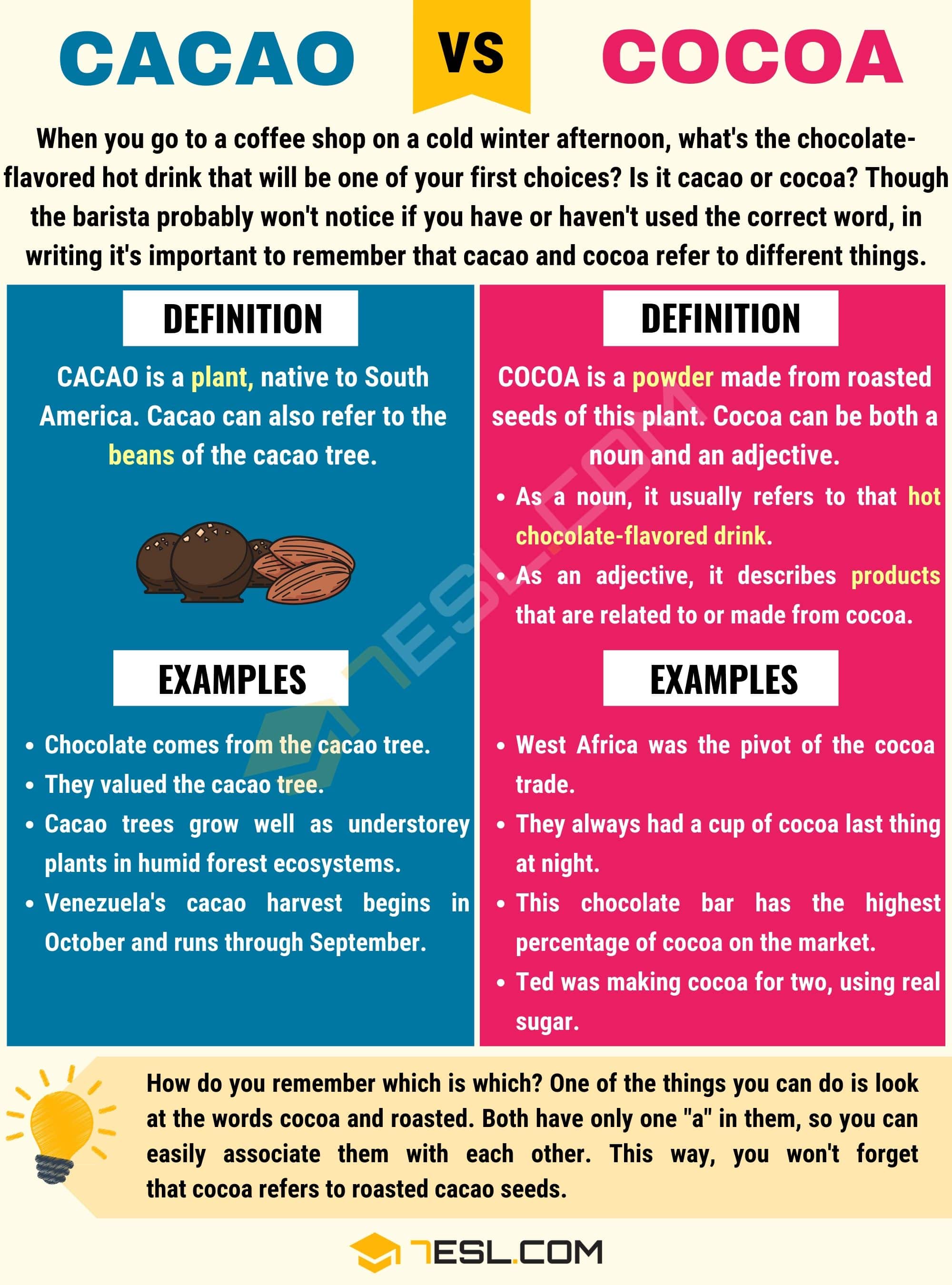 Cacao vs. Cocoa