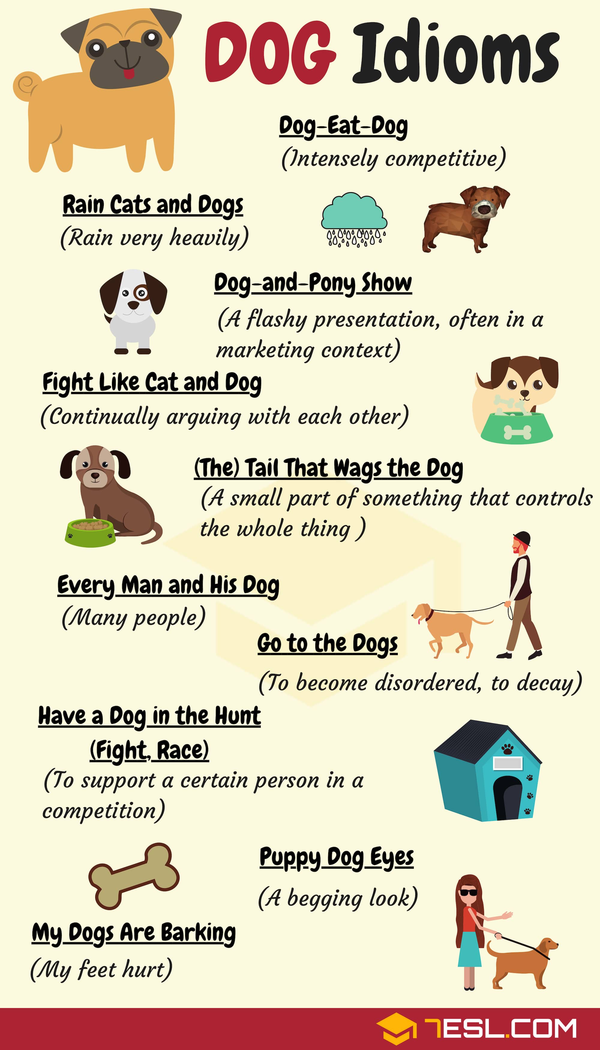 Dog Idioms