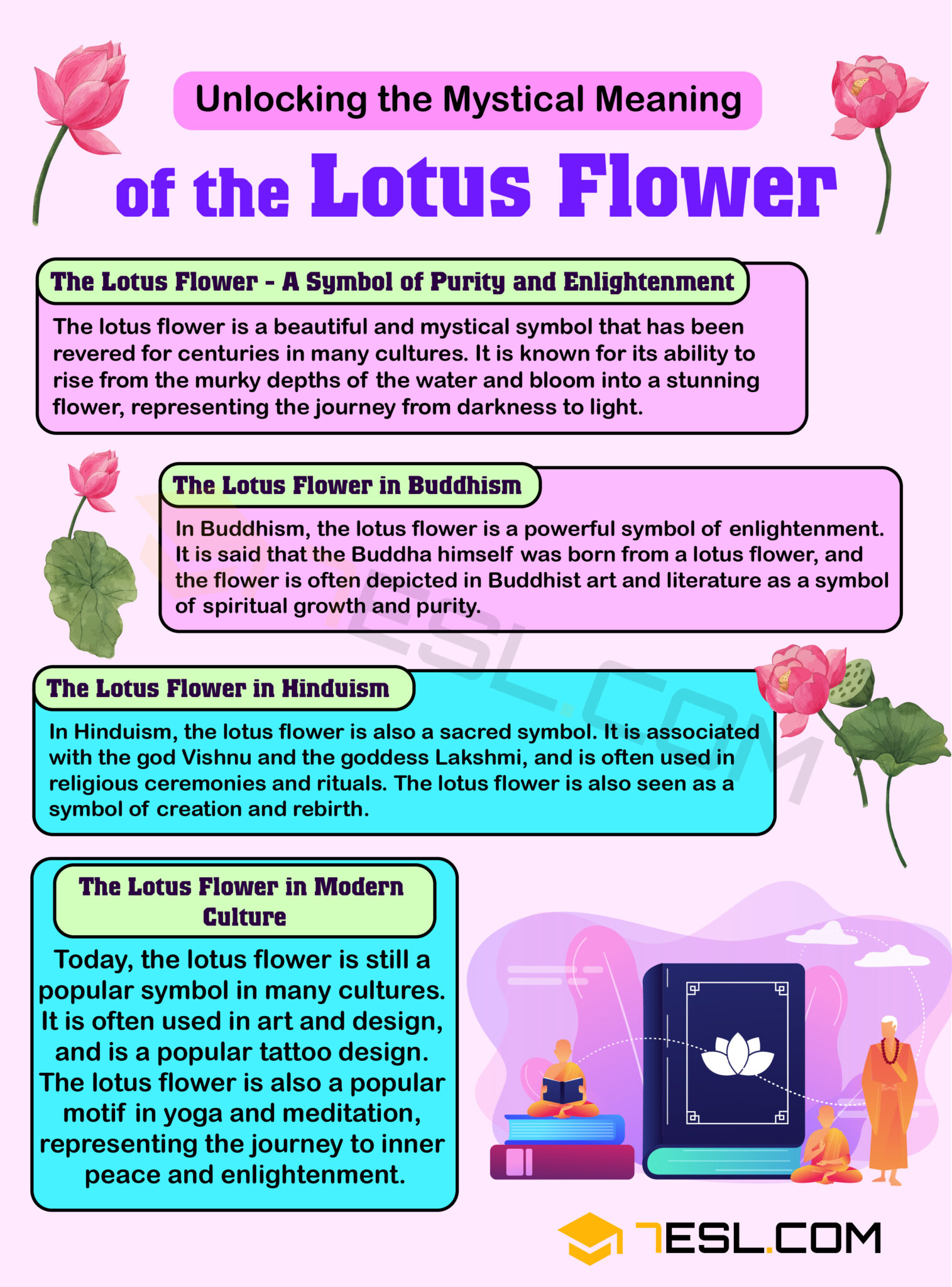 Lotus Flower Meaning