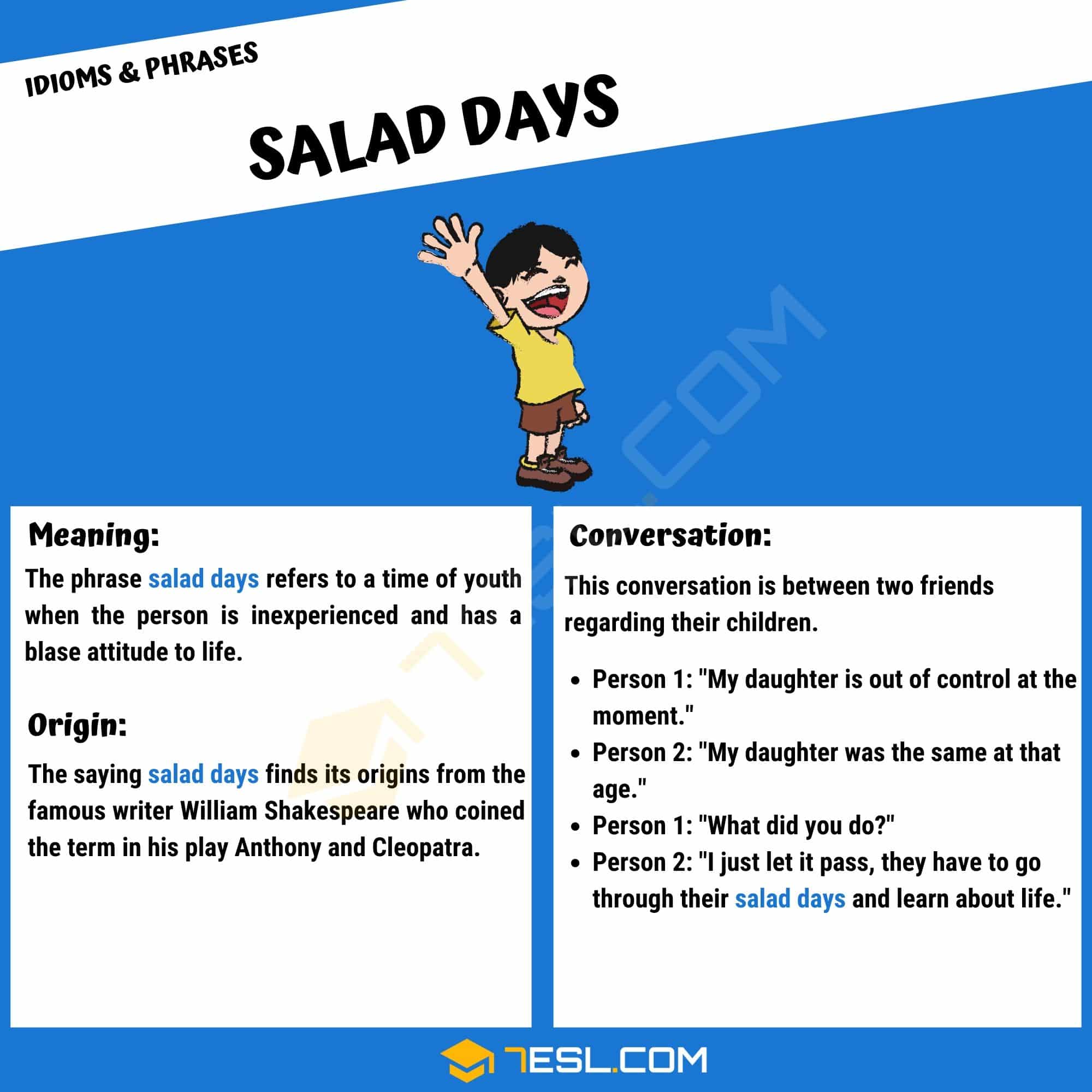 Salad Days Meaning