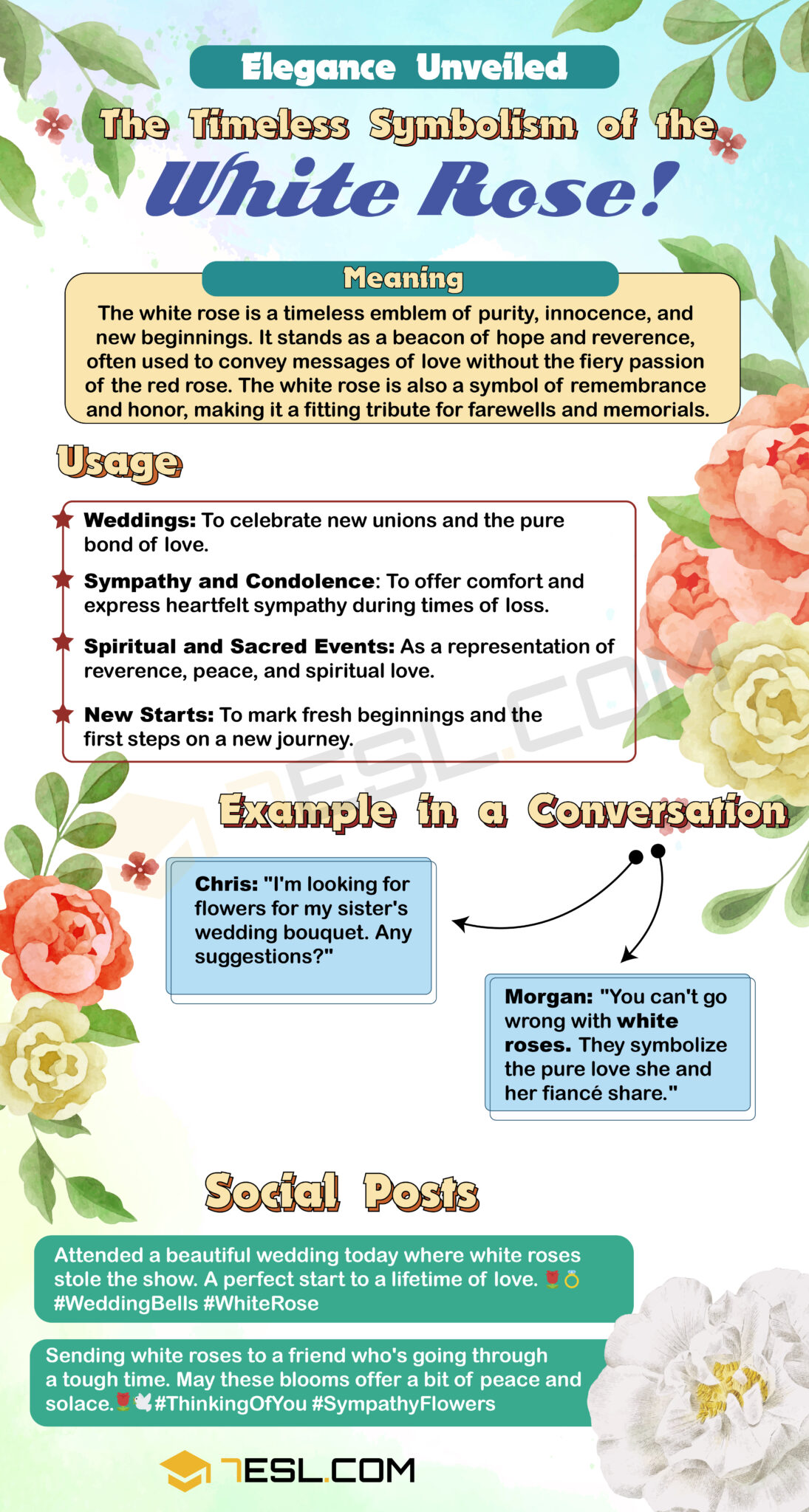 White Rose Meaning