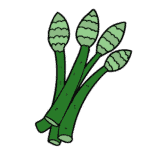 Asparagus